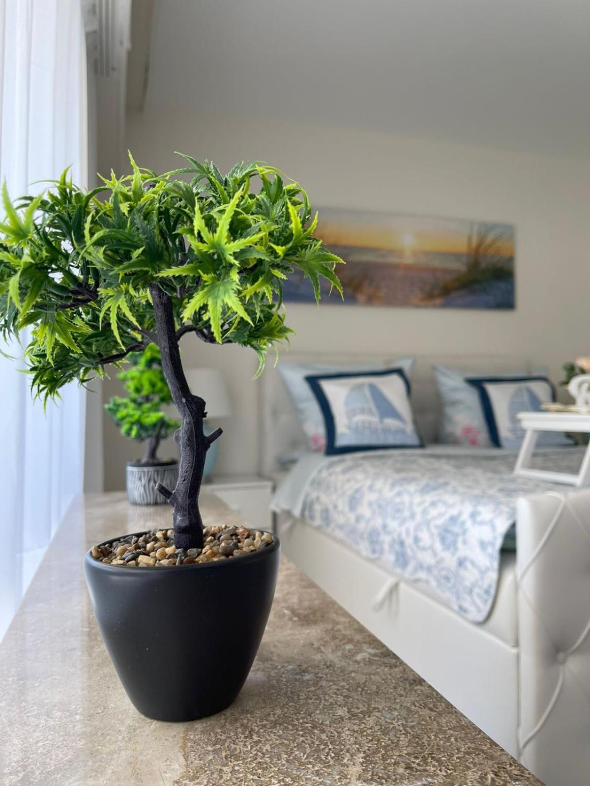 Ferienwohnung Strandoase Inklusive Terrasse Und Parkplatz - Sonnenseite شاربوتس المظهر الخارجي الصورة