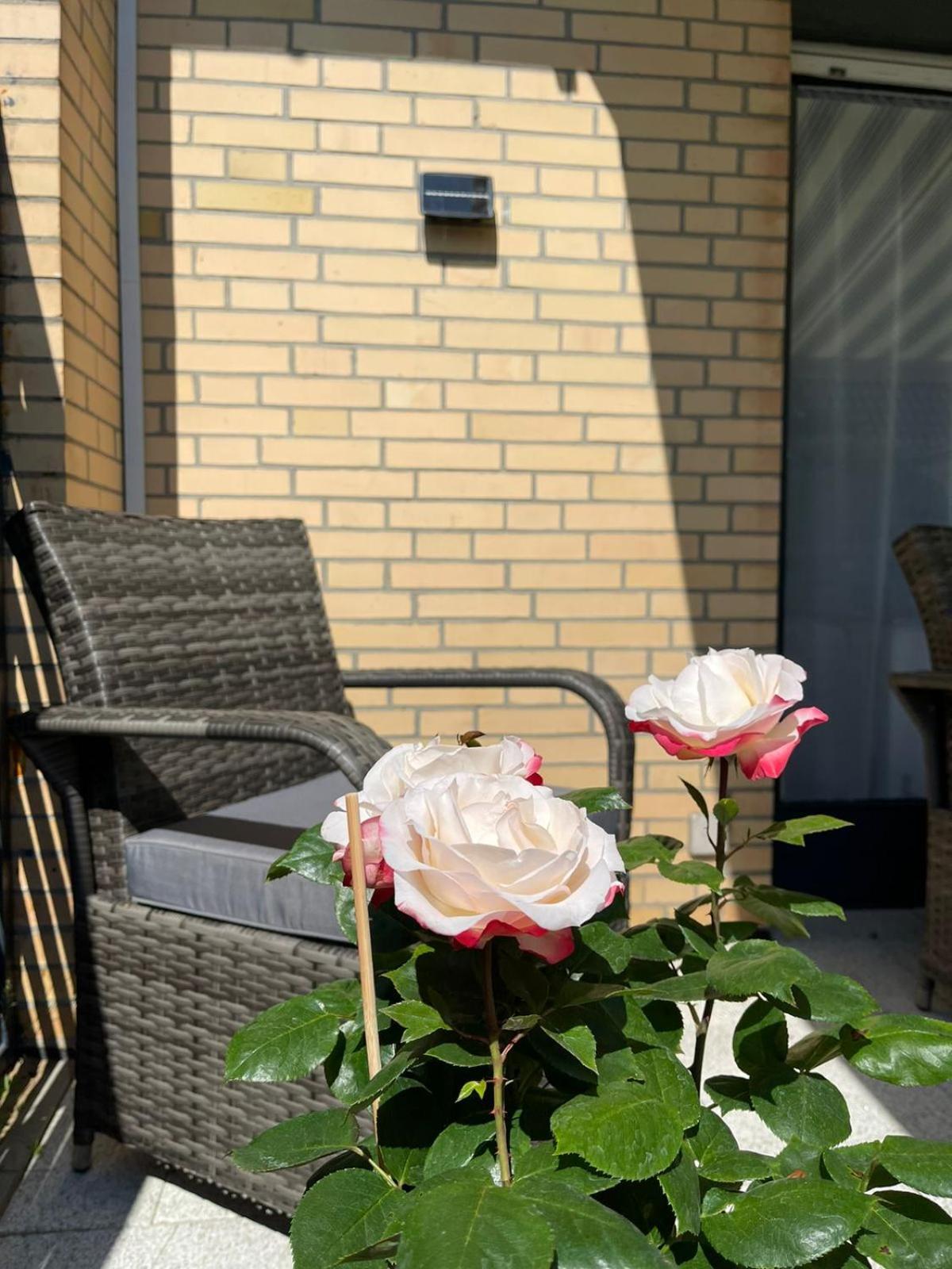 Ferienwohnung Strandoase Inklusive Terrasse Und Parkplatz - Sonnenseite شاربوتس المظهر الخارجي الصورة